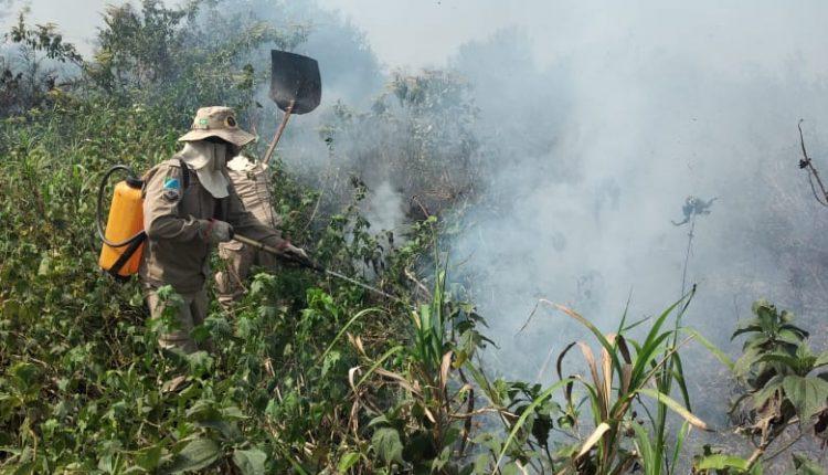 FOTOS: Bombeiros identificam foco de incêndio em margem do Rio Paraguai