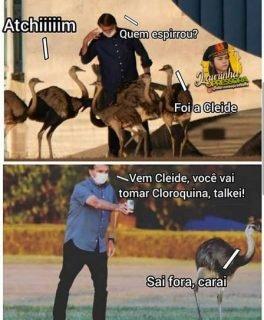 Imagem de Bolsonaro mostrando cloroquina para ema vira meme
