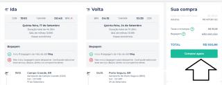 Voos de ida volta de Campo Grande para o Rio por apenas R$ 409 e Porto Seguro a partir de R$ 500