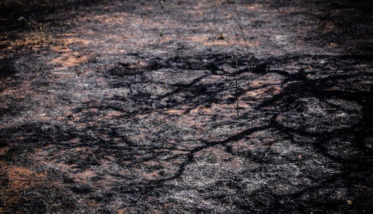 Incêndio ao lado do Parque do Sóter mobiliza Corpo de Bombeiros