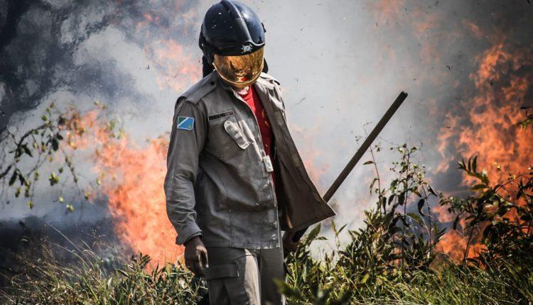 Incêndio ao lado do Parque do Sóter mobiliza Corpo de Bombeiros