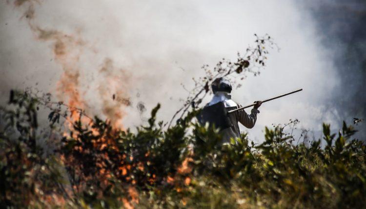 Incêndio ao lado do Parque do Sóter mobiliza Corpo de Bombeiros