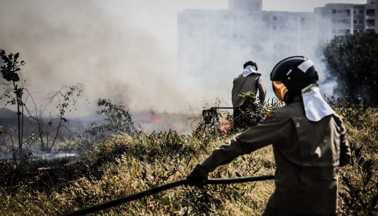 Incêndio ao lado do Parque do Sóter mobiliza Corpo de Bombeiros
