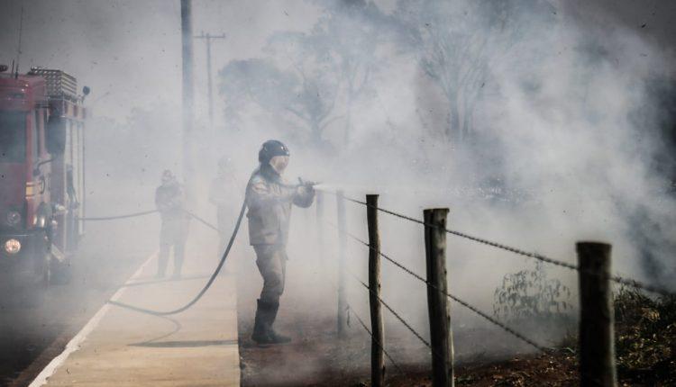 Incêndio ao lado do Parque do Sóter mobiliza Corpo de Bombeiros