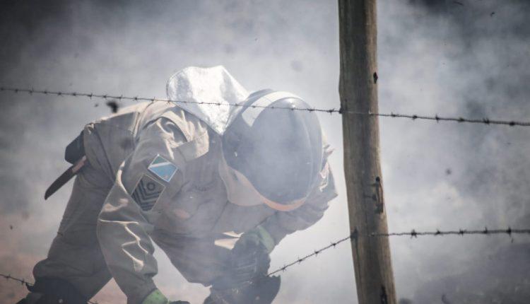 Incêndio ao lado do Parque do Sóter mobiliza Corpo de Bombeiros