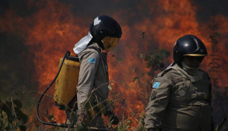 Incêndio ao lado do Parque do Sóter mobiliza Corpo de Bombeiros