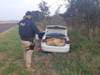 Perseguições em rodovias de MS resultam na apreensão de 1,5 tonelada de maconha