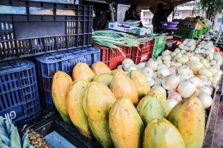 #CG121: Dos ensinamentos da pandemia, aprendemos a dar valor aos alimentos naturais e orgânicos