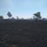 Destruição e desespero: incêndio devasta sítios e queima mais de 200 hectares em Paranaíba