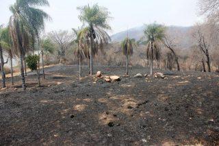 Força-tarefa combate incêndio por quase 20 horas na Serra do Amolar