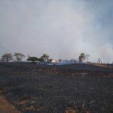Destruição e desespero: incêndio devasta sítios e queima mais de 200 hectares em Paranaíba
