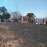 Destruição e desespero: incêndio devasta sítios e queima mais de 200 hectares em Paranaíba