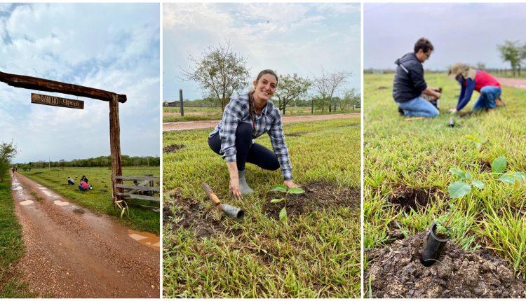 No dia da árvore, ação ambiental independente dá início a plantação de 1000 mudas em Bonito