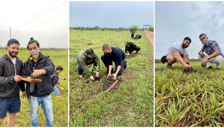 No dia da árvore, ação ambiental independente dá início a plantação de 1000 mudas em Bonito
