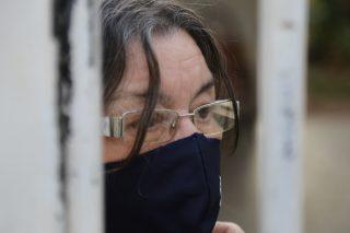 Dizimadas por doença, mangueiras que ainda resistem trazem infância à memória