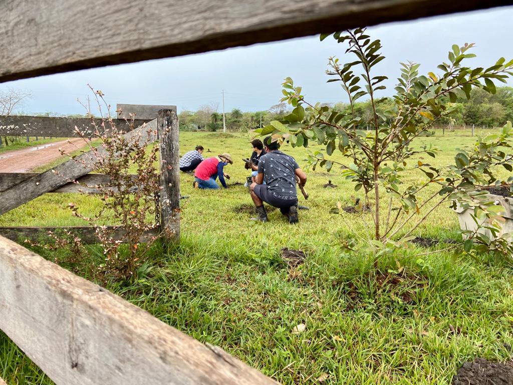 No dia da árvore, ação ambiental independente dá início a plantação de 1000 mudas em Bonito