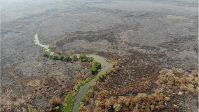 incêndios Pantanal