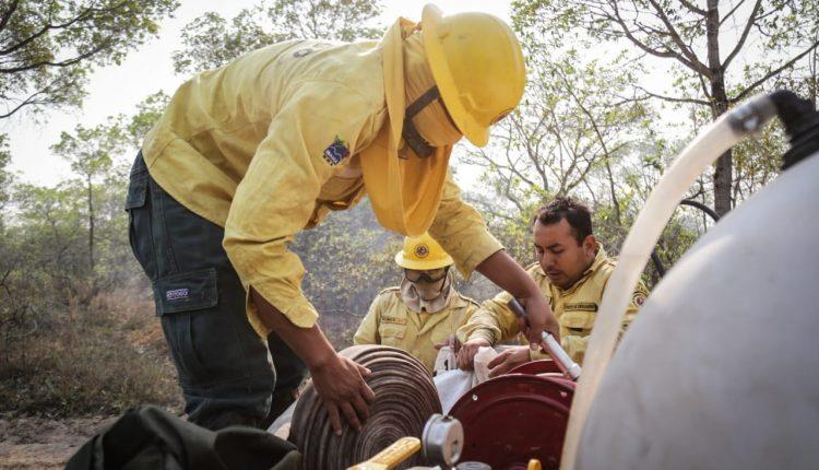 Em esforço sobre-humano, brigadistas colocam vida em risco para salvar Pantanal do fogo