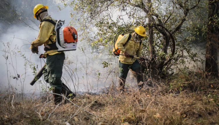 Em esforço sobre-humano, brigadistas colocam vida em risco para salvar Pantanal do fogo