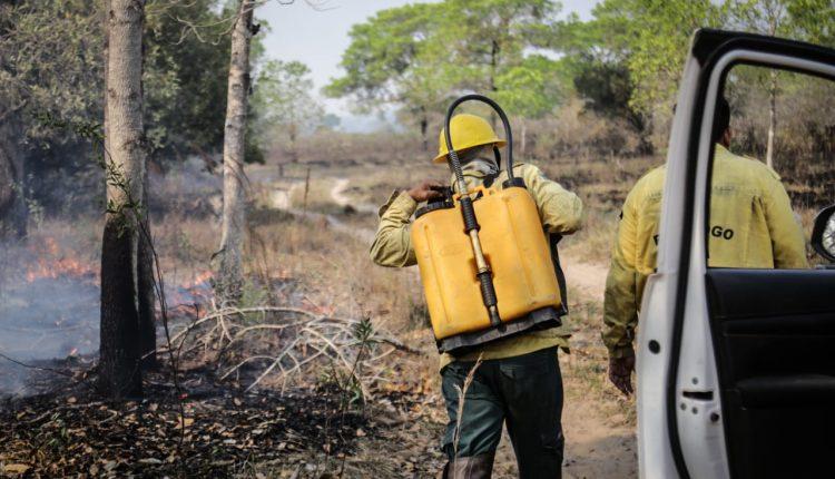 Em esforço sobre-humano, brigadistas colocam vida em risco para salvar Pantanal do fogo