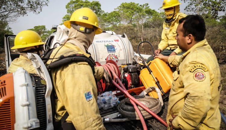 Em esforço sobre-humano, brigadistas colocam vida em risco para salvar Pantanal do fogo