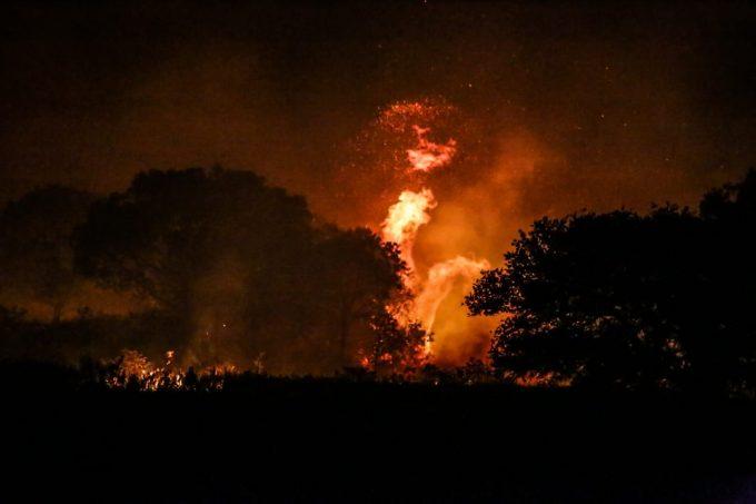 Em esforço sobre-humano, brigadistas colocam vida em risco para salvar Pantanal do fogo