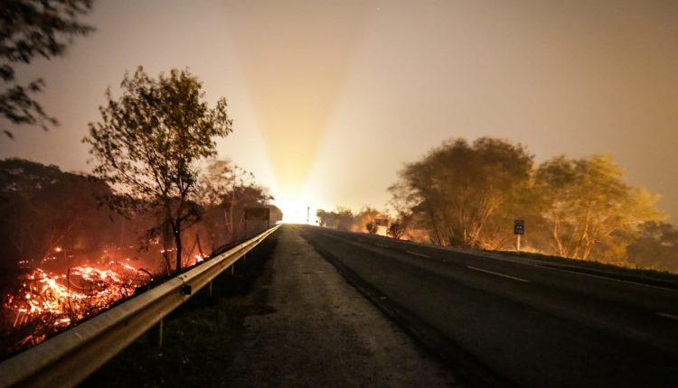 Em esforço sobre-humano, brigadistas colocam vida em risco para salvar Pantanal do fogo