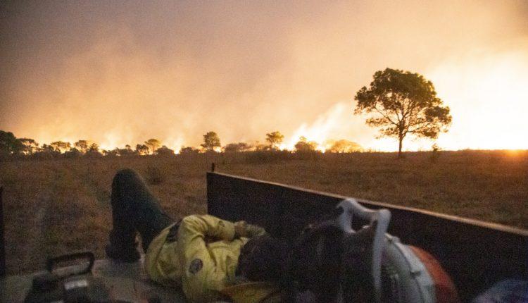 Em esforço sobre-humano, brigadistas colocam vida em risco para salvar Pantanal do fogo