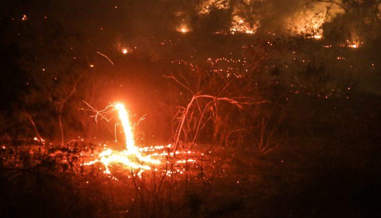 Em esforço sobre-humano, brigadistas colocam vida em risco para salvar Pantanal do fogo
