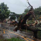 Temporal e ventania deixam rastro de destruição em cidades de MS