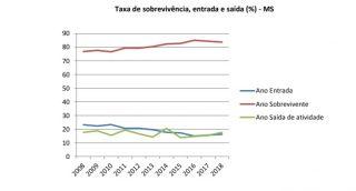 IBGE: Cerca de 83,7% de empresas de MS registraram saldo negativo em 2018