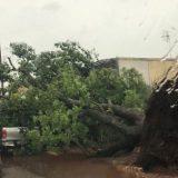 Temporal e ventania deixam rastro de destruição em cidades de MS