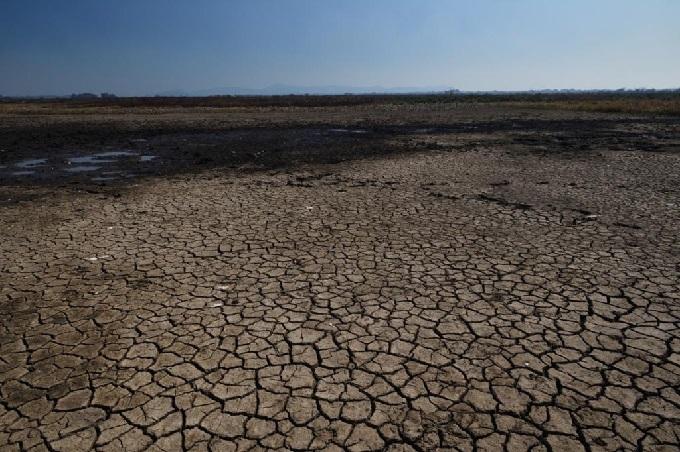 Determinação do Ibama não deve afetar combate a incêndios no Pantanal em MS, diz Prevfogo