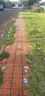 Sujeira e crime: eleitores flagram santinhos jogados em locais de votação de Campo Grande