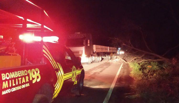 Casal morre em colisão frontal com carreta após motorista tentar desviar de árvore na pista