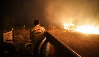 Retrospectiva 2020: Incêndios devastaram Pantanal de MS e recuperação pode levar anos, dizem especialistas