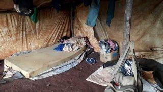 Força-tarefa resgata 25 indígenas de trabalho escravo em lavouras de soja do Estado