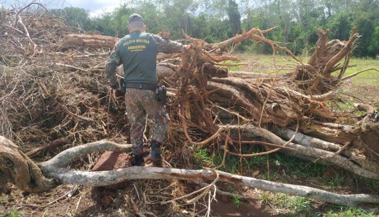 PMA aplica mais de R$ 24,4 milhões em multas e autuou mais de mil em 2020