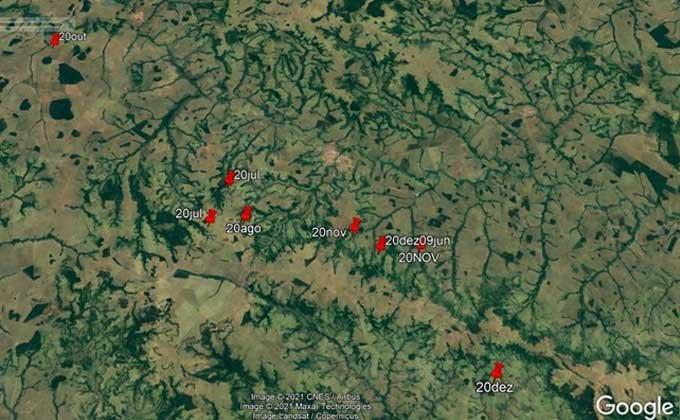 Iagro monitora 163 abrigos de morcegos-vampiros para combater raiva em animais e humanos em MS