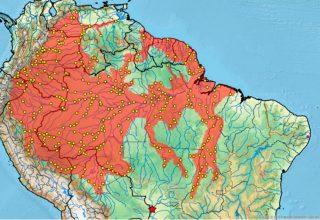 Em registro inédito, pesquisadores encontram tartaruga da Amazônia na Serra do Amolar