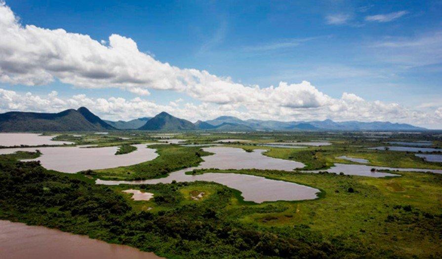 Em registro inédito, pesquisadores encontram tartaruga da Amazônia na Serra do Amolar