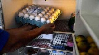 Cooperativa de OVO Terenos (ME)