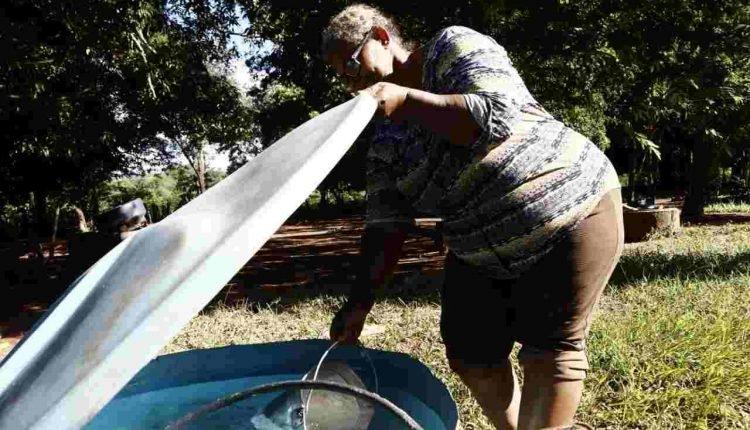 Considerada a maior das últimas décadas, enchente deixa comunidade quilombola isolada em MS