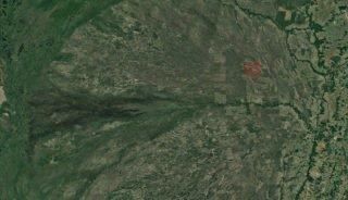 MP tenta impedir derrubada de 2,9 mil hectares do Pantanal para criação de gado