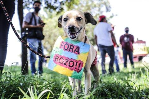 Novo protesto contra Bolsonaro reúne dezenas de pessoas na região sul de Campo Grande