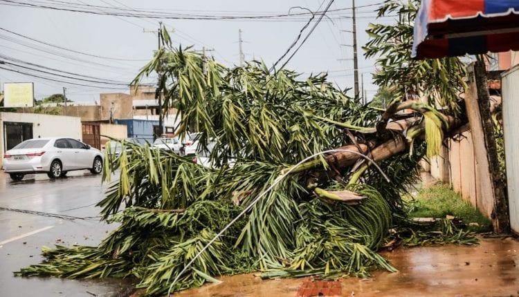 VÍDEO: Vendaval destelha completamente prédio e arranca fiação no Jardim Seminário