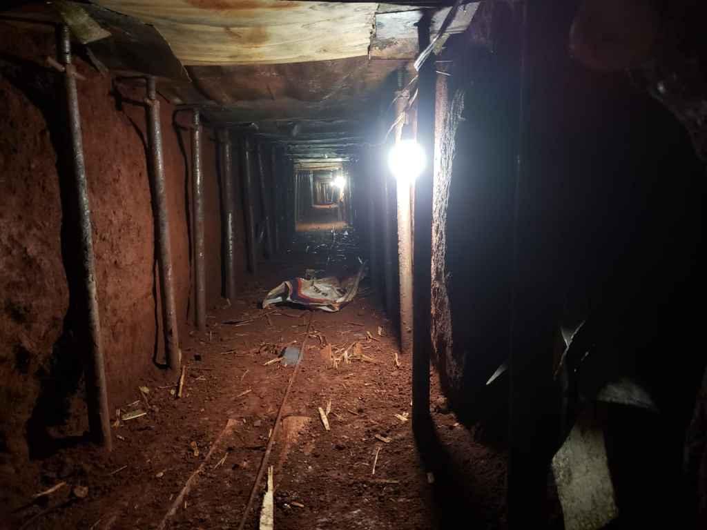Bandidos viajavam para roubar