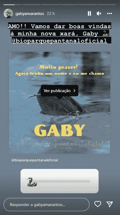 sucuri Gaby