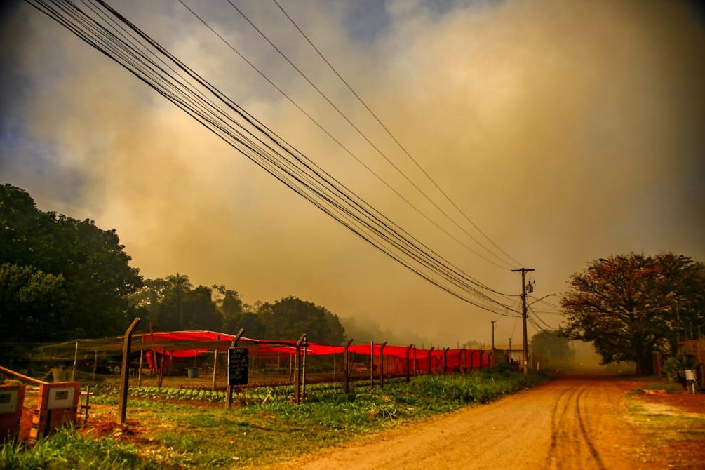 Incêndio em vegetação, Incêndio em terreno baldio, queimadas, fogo