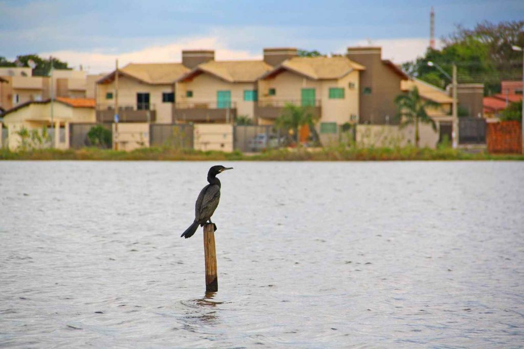 Lagoa em bairro de Campo Grande